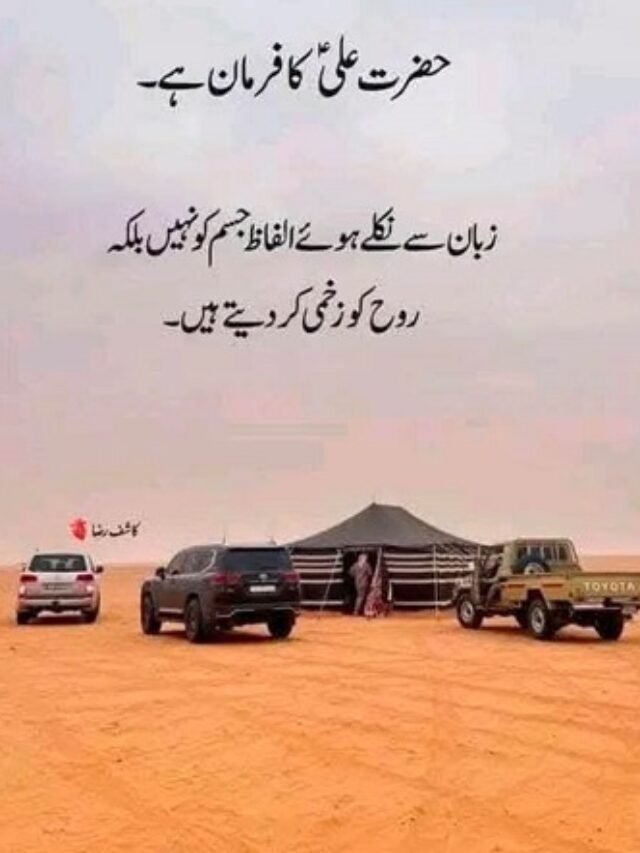 Read more about the article Hajrat Ali Ne Farmaya